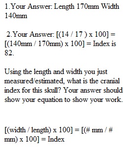 1.15 Lab Exercise